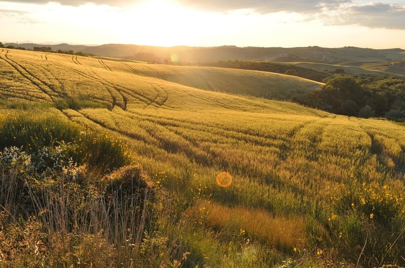 Tuscany Countryside